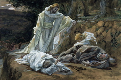 The Agony in the Garden, illustrated by James Tissot 